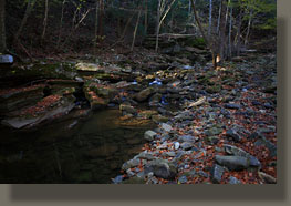 Fiery Gizzard Trail, Grundy Forest State Natural Area, TN