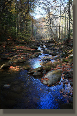 Fiery Gizzard Trail, Grundy Forest State Natural Area, TN