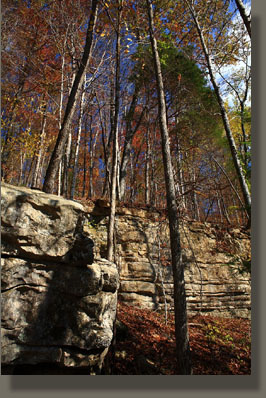 Fiery Gizzard Trail, Grundy Forest State Natural Area, TN