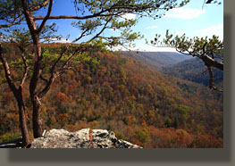 Fiery Gizzard Trail, Grundy Forest State Natural Area, TN