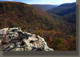 Fiery Gizzard Trail, Grundy Forest State Natural Area, TN