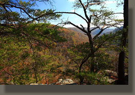 Fiery Gizzard Trail, Grundy Forest State Natural Area, TN