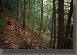 Fiery Gizzard Trail, Grundy Forest State Natural Area, TN