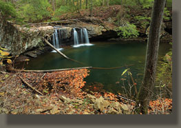 Fiery Gizzard Trail, Grundy Forest State Natural Area, TN