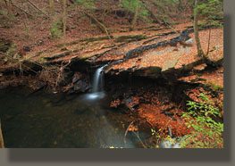 Fiery Gizzard Trail, Grundy Forest State Natural Area, TN