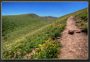 Mt Flora, Indian Peaks, Colorado