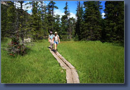 Andra and Christine hiking through a wet meadow in Glacier Gorge, Rocky Mountain National Park