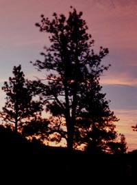 Sunset near Grey Rock. January, 2003.