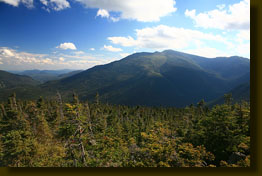 Mt Washington