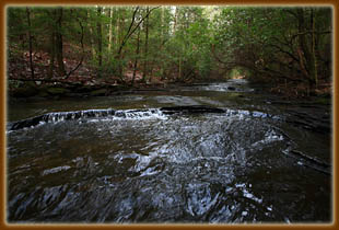 Grundy Forest State Natural Area