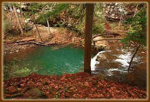 Grundy Forest State Natural Area