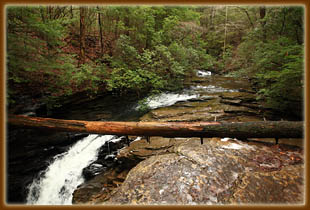 Grundy Forest State Natural Area