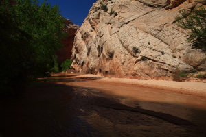 Hackberry Canyon