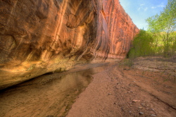 Harris Wash, Utah