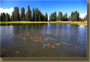 One of the many ponds along the trail