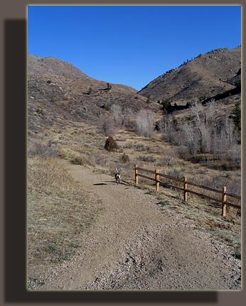 Beginning of Hewlett Gulch trail...Makenzie is ready to go!