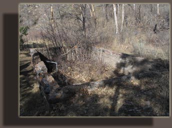 Ruins along Hewlett Gulch