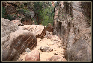 Hidden Canyon