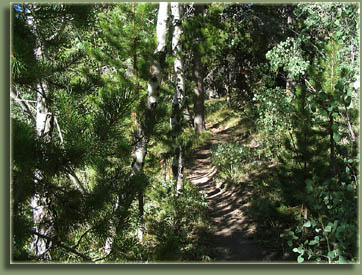 Typical of the Headquarters Trail