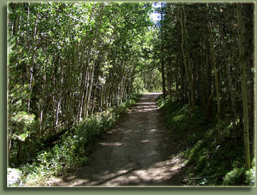Some parts of the trail are very wide. This is part of the Summit Loop.