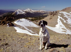 Iron Mt Hike