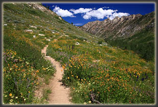 Island Lake Trail in the Ruby Mountains, Nevada