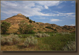 Jones Creek Trail