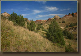 Jones Creek Trail