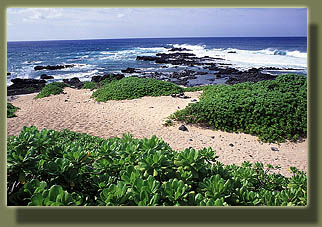 Ka'ena Point