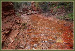 Zion National Park