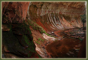 Zion National Park