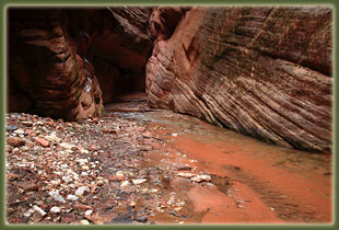 Zion National Park