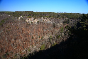 Laurel-Snow Pocket Wilderness, Tennessee