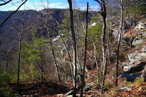 Laurel-Snow Pocket Wilderness, Tennessee