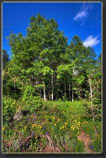 Middle Lodgepole Creek, Wyoming