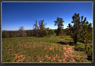 Middle Lodgepole Creek, Wyoming