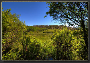 Middle Lodgepole Creek, Wyoming