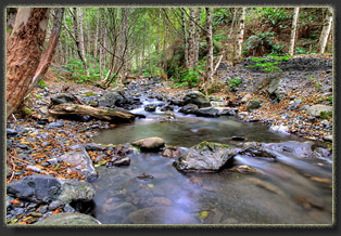 Lost Coast, California