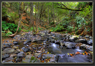 Lost Coast, California