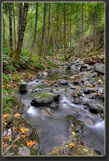 Lost Coast, California