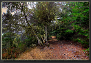 Lost Coast, California