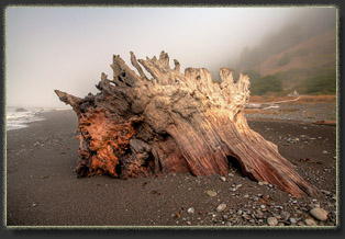 Lost Coast, California