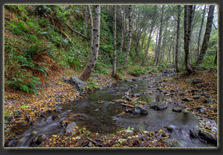 Lost Coast, California