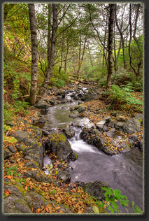 Lost Coast, California