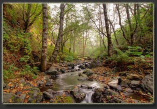 Lost Coast, California