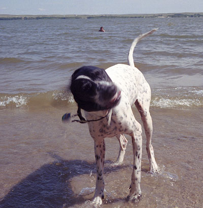 Frank discovers the annoyance of getting water in the ear