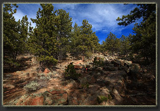 Markley and Bisbee Hills, Wyoming