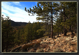 Markley and Bisbee Hills, Wyoming