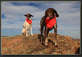 Markley and Bisbee Hills, Wyoming