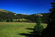 On the trail to Montgomery Pass